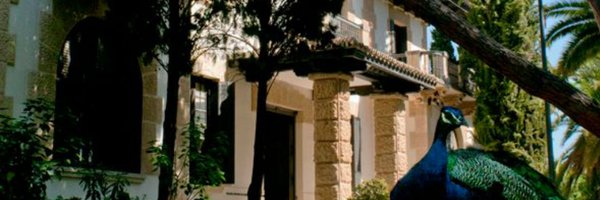 coamalaga Profile Banner