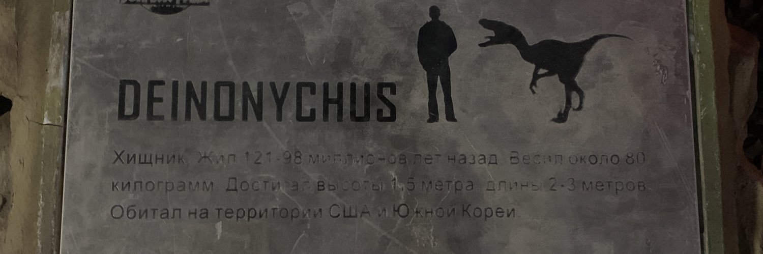 dvizigin's profile banner image