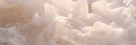 elissemunoz_'s profile banner image