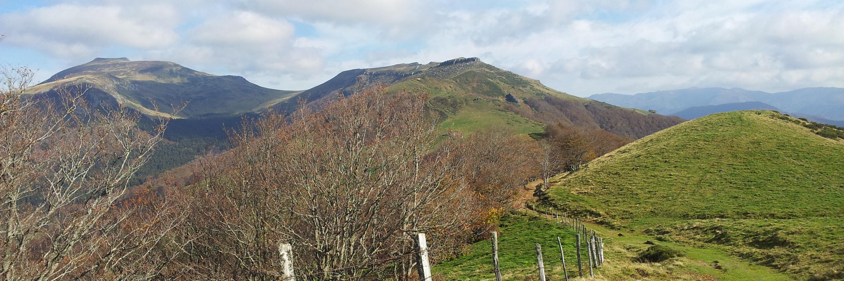 Pierrette Humphreys banner