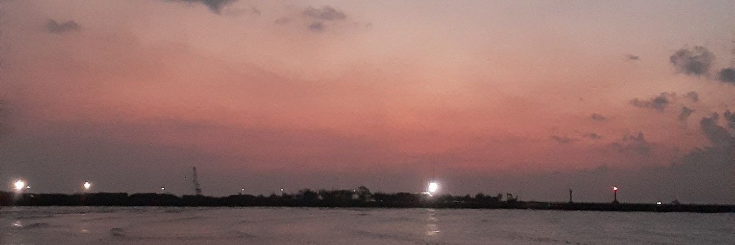 dianpuspitawn's profile banner image