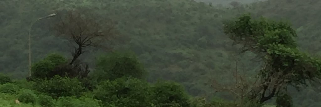 haj1001's profile banner image