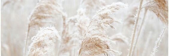 _madfra's profile banner image