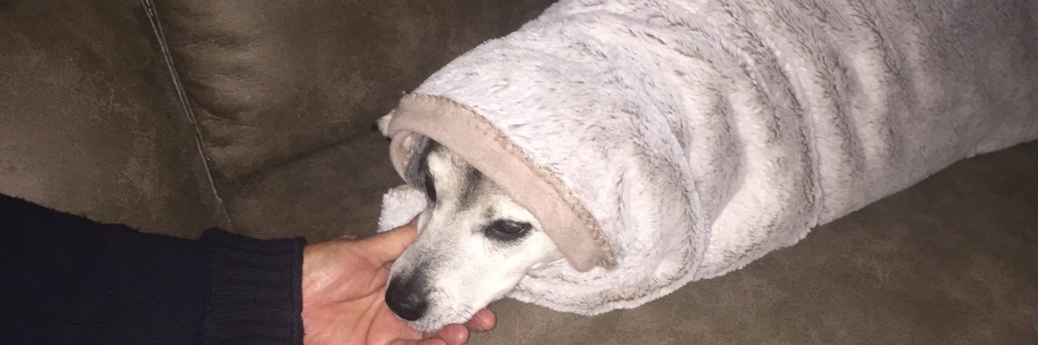 ILovedMyNansDinners banner