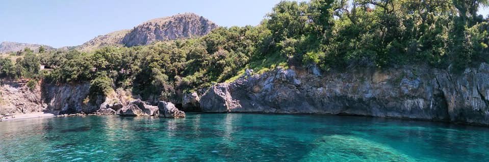 RobertoAsaro's profile banner image