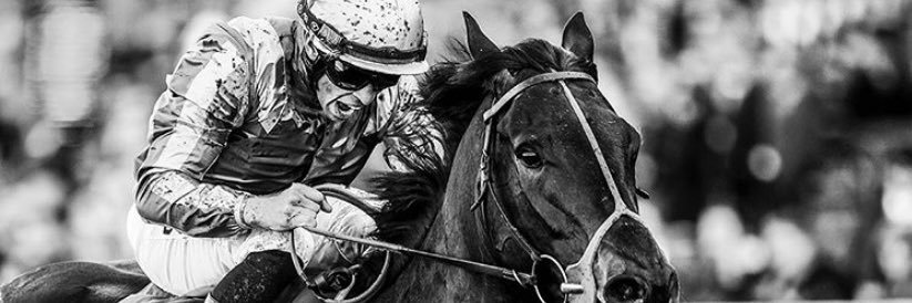 Sean Levey banner