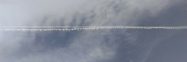 spelaantloga Profile Banner