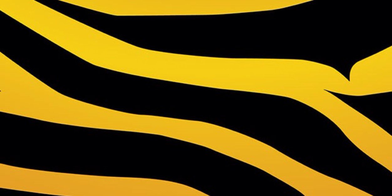 luv_lace88's profile banner image