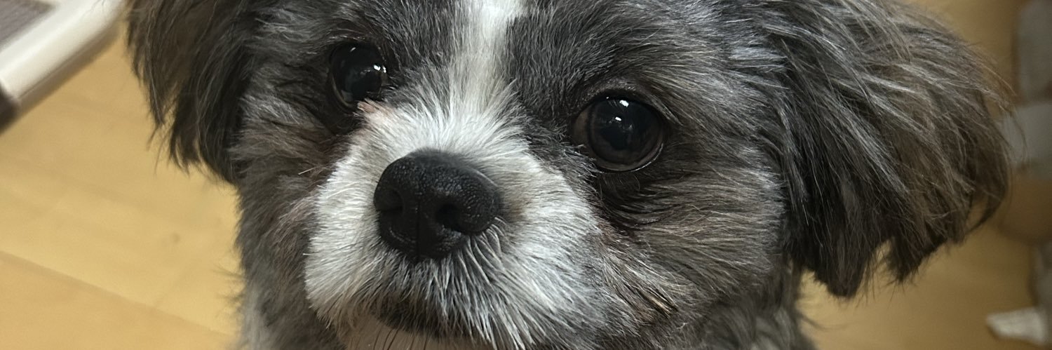 vbanueda's profile banner image