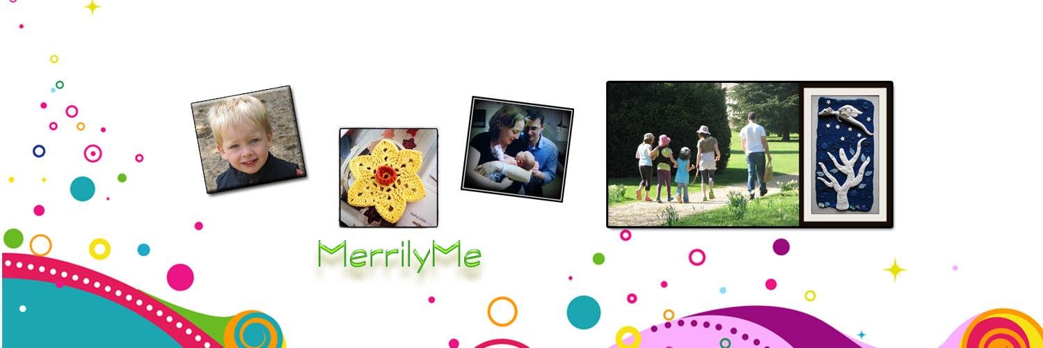 Merry 🇪🇺 banner