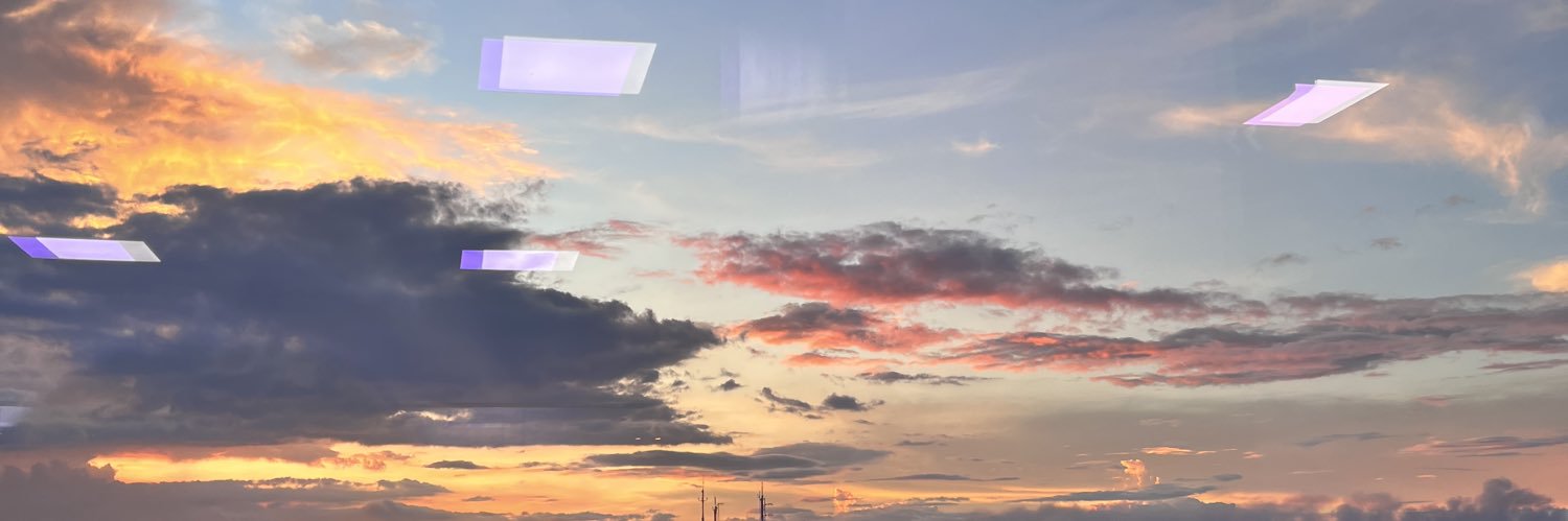 DianeEllaso's profile banner image