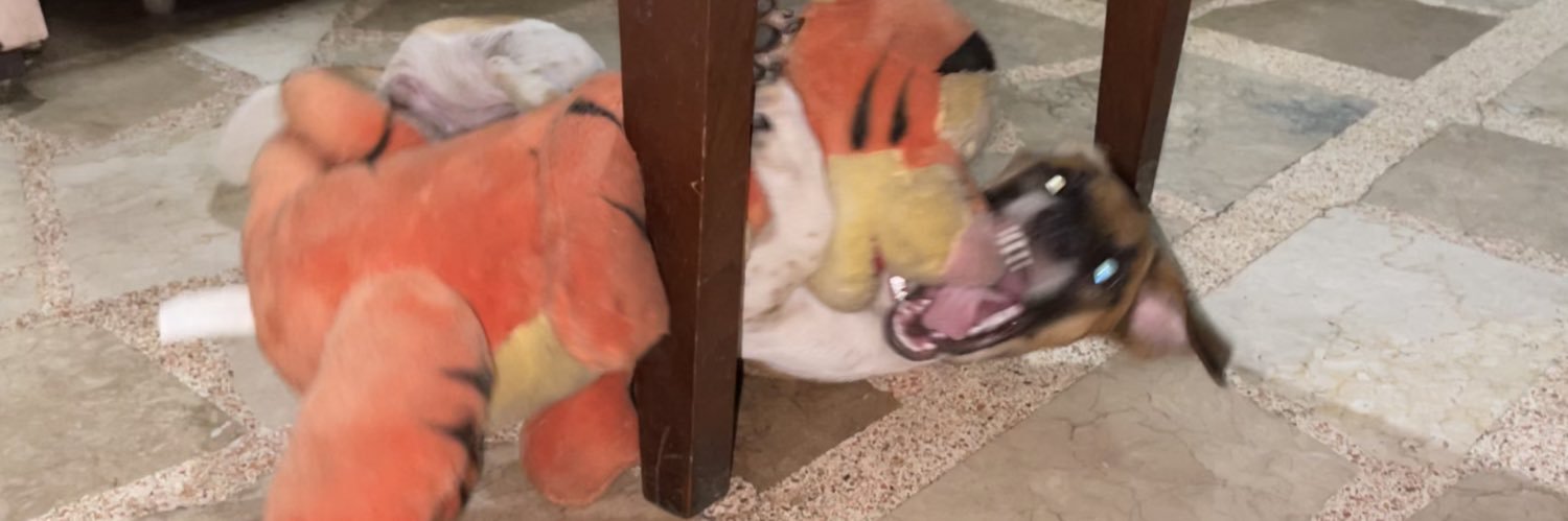 jillianafable's profile banner image