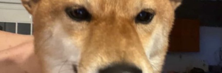 LordyTrades's profile banner image