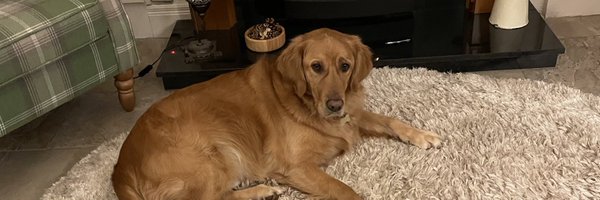 seanoconnellQUB Profile Banner