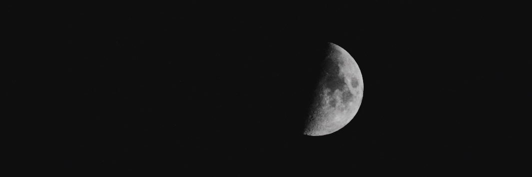 vivodicher's profile banner image