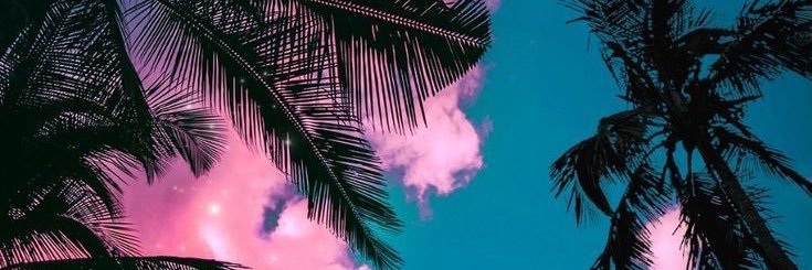 barbiedrc's profile banner image