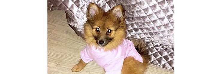 JacquelineB___'s profile banner image