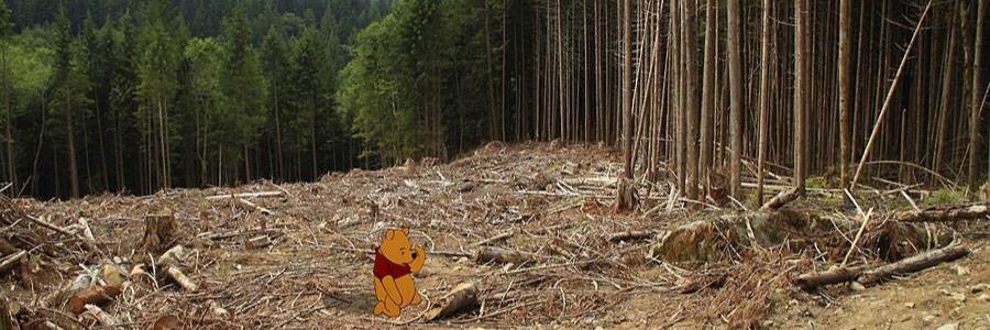 JkbRose's profile banner image