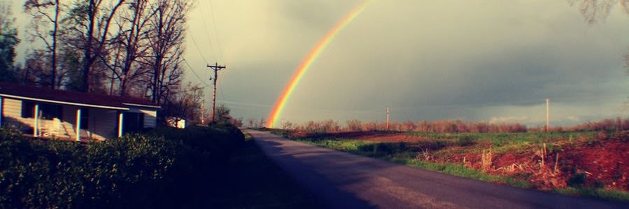 Hardi_Nadi's profile banner image