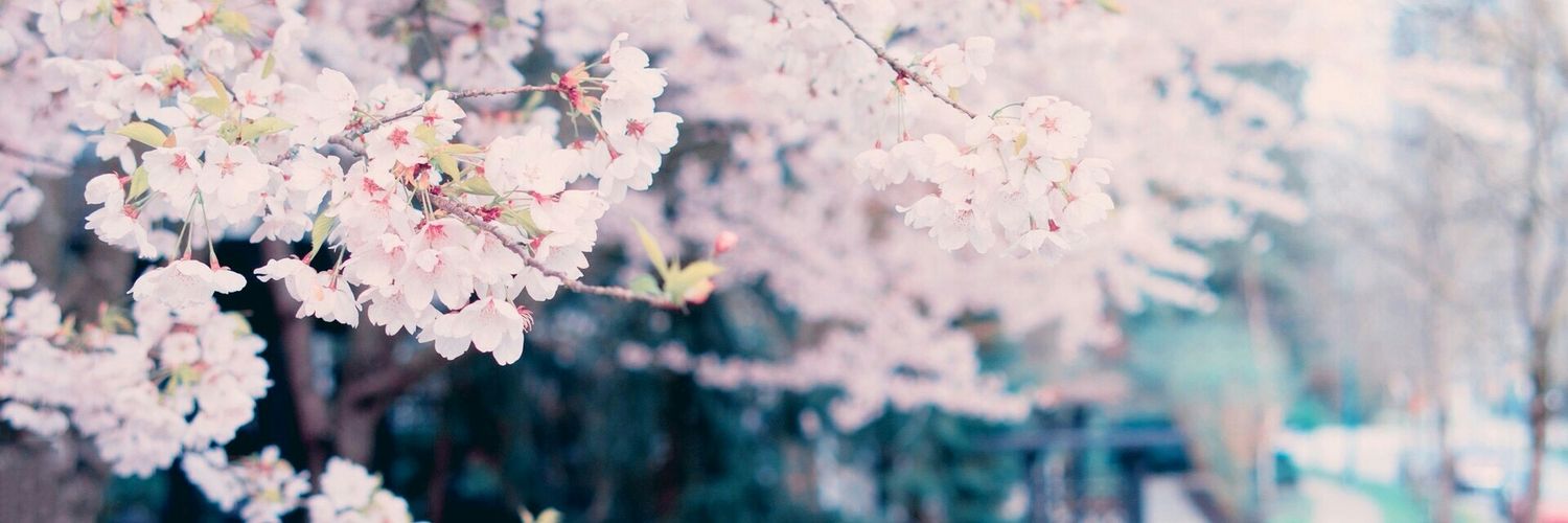 crys412's profile banner image