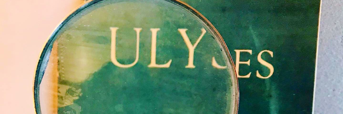 Dr Cleo Hanaway-Oakley banner