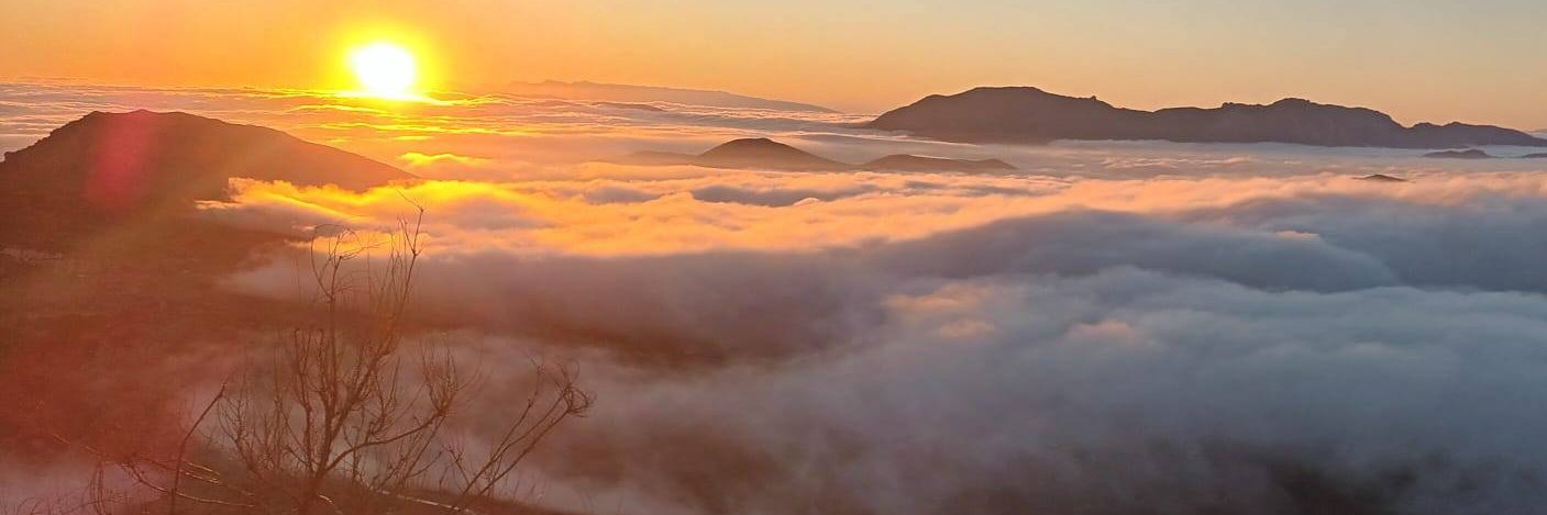 Francisco J. Poyato banner