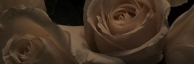 AnaisBrenner's profile banner image