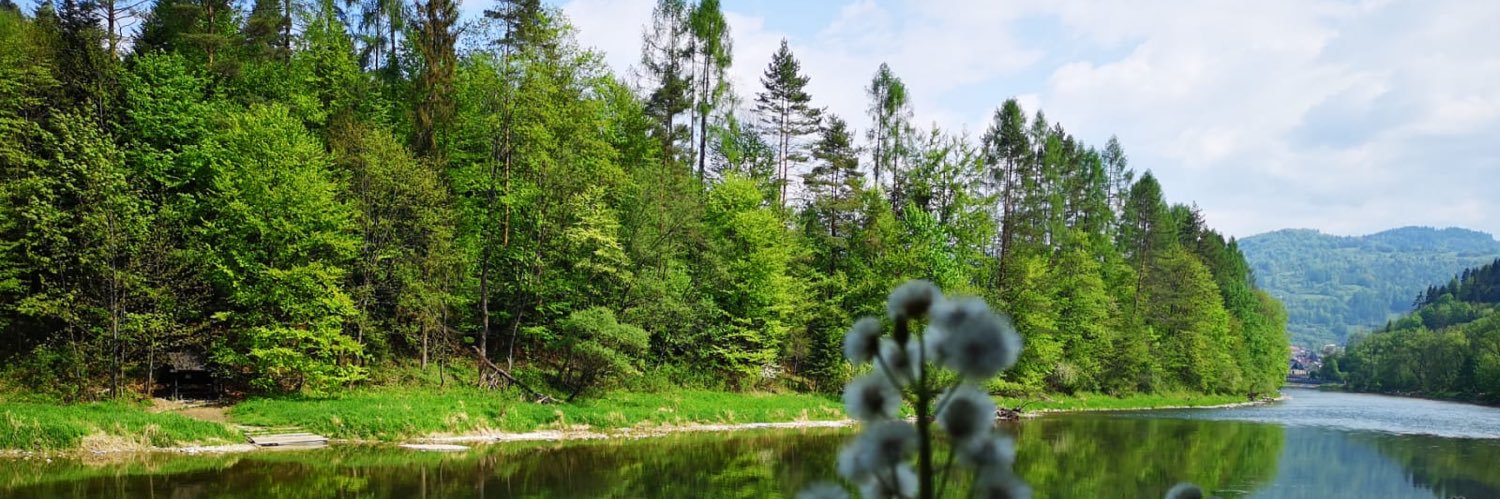 Katarzyna Karolina Machaczek banner