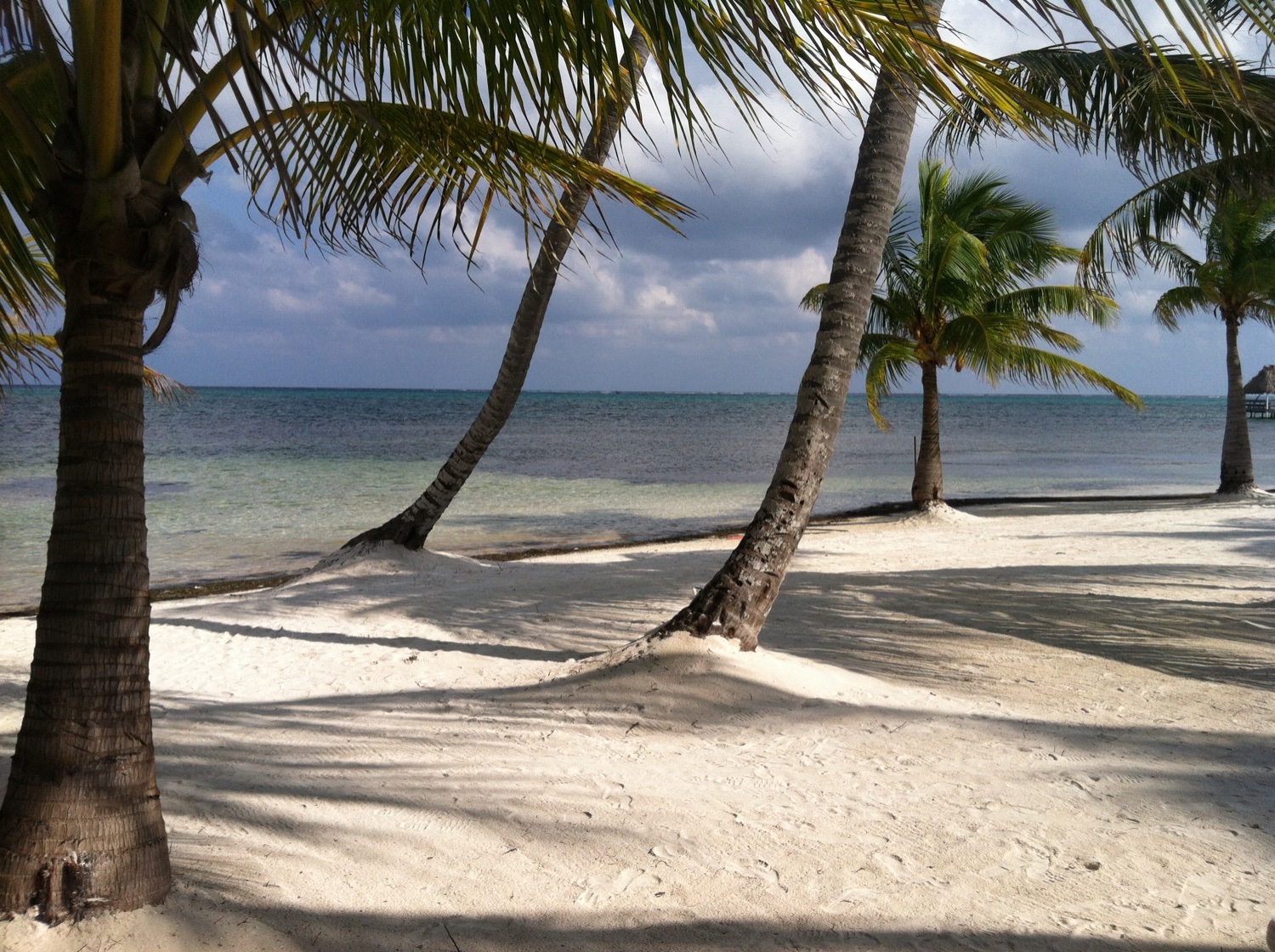 Richard Pollock banner