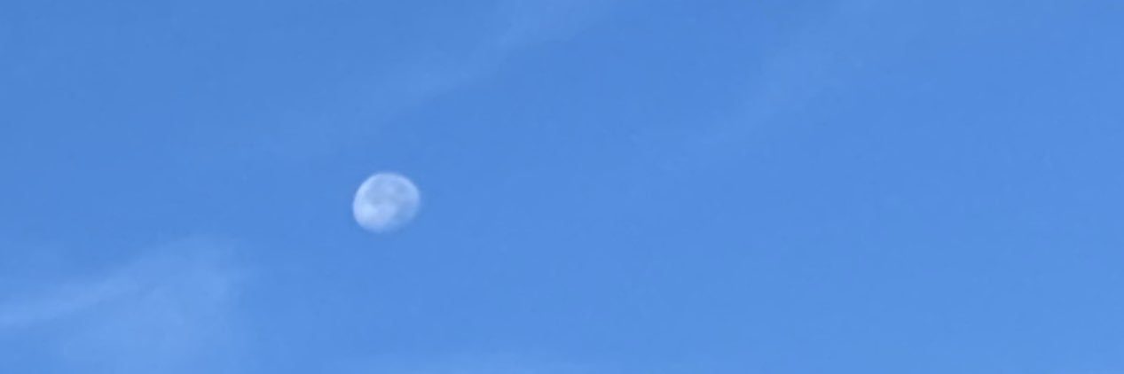 sadeggbrain's profile banner image
