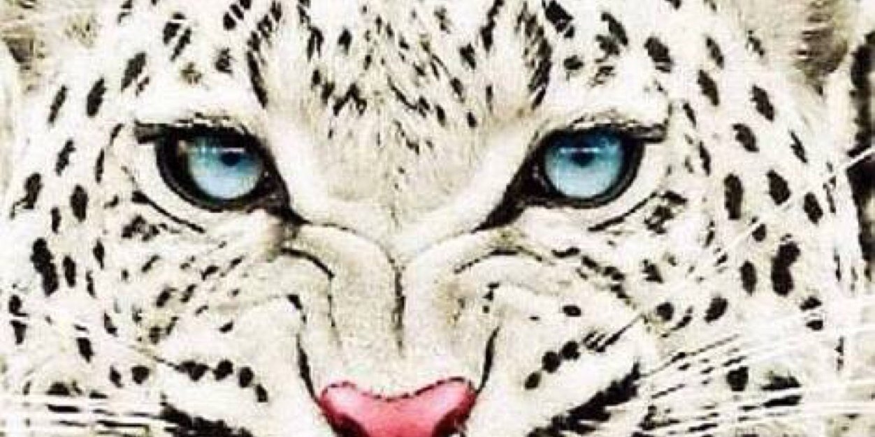 Martini21mfo's profile banner image