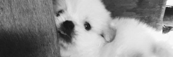 NemroDelicious Profile Banner