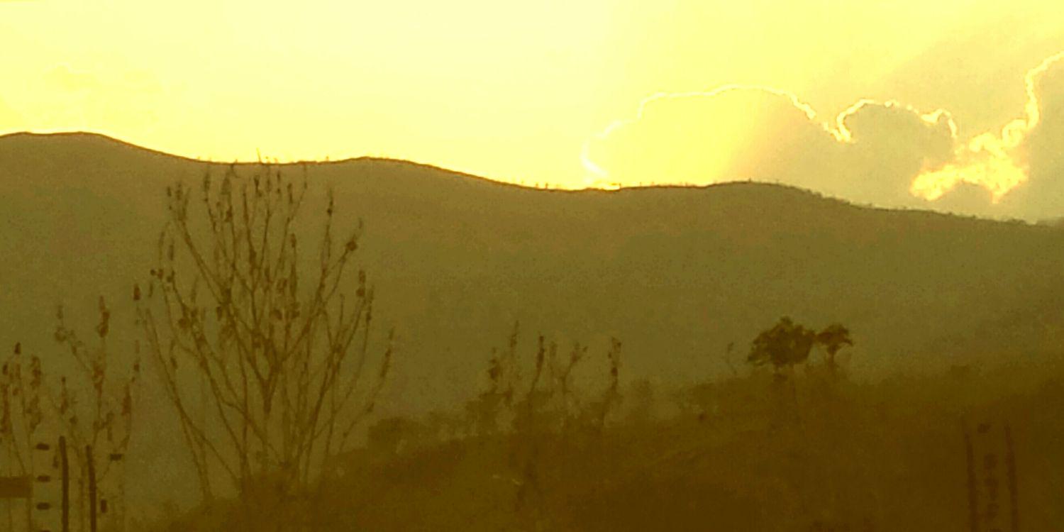 trigaldsd1's profile banner image
