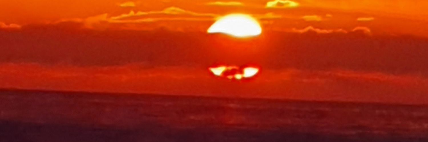 Sallyviaja's profile banner image
