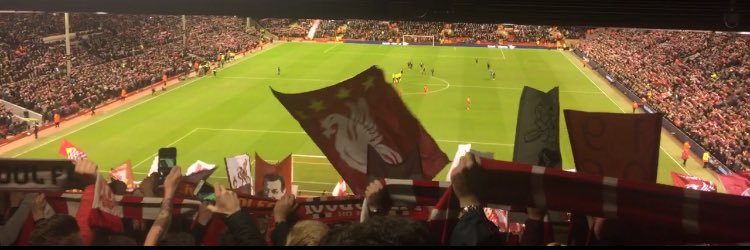 Harr_Matthews10's profile banner image