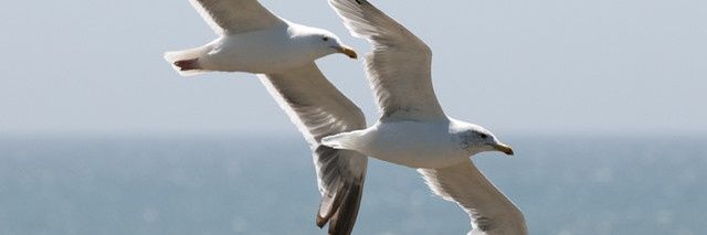 notefarm's profile banner image