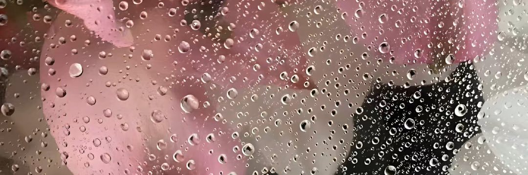 794727900's profile banner image