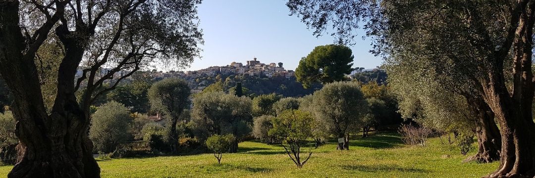 Pauline Renoir banner