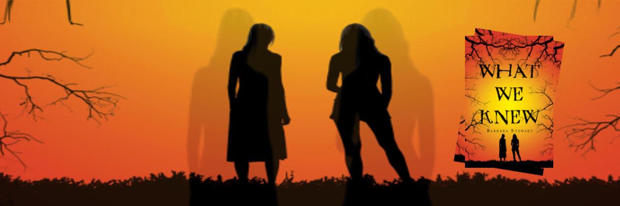 BarbStewartYA's profile banner image