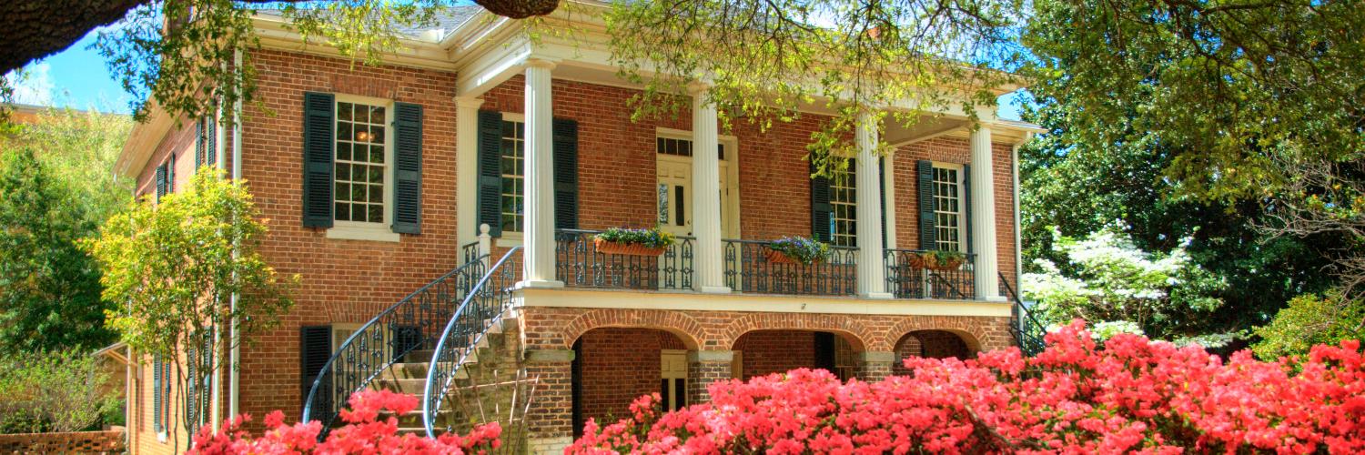 Alexis Taylor banner