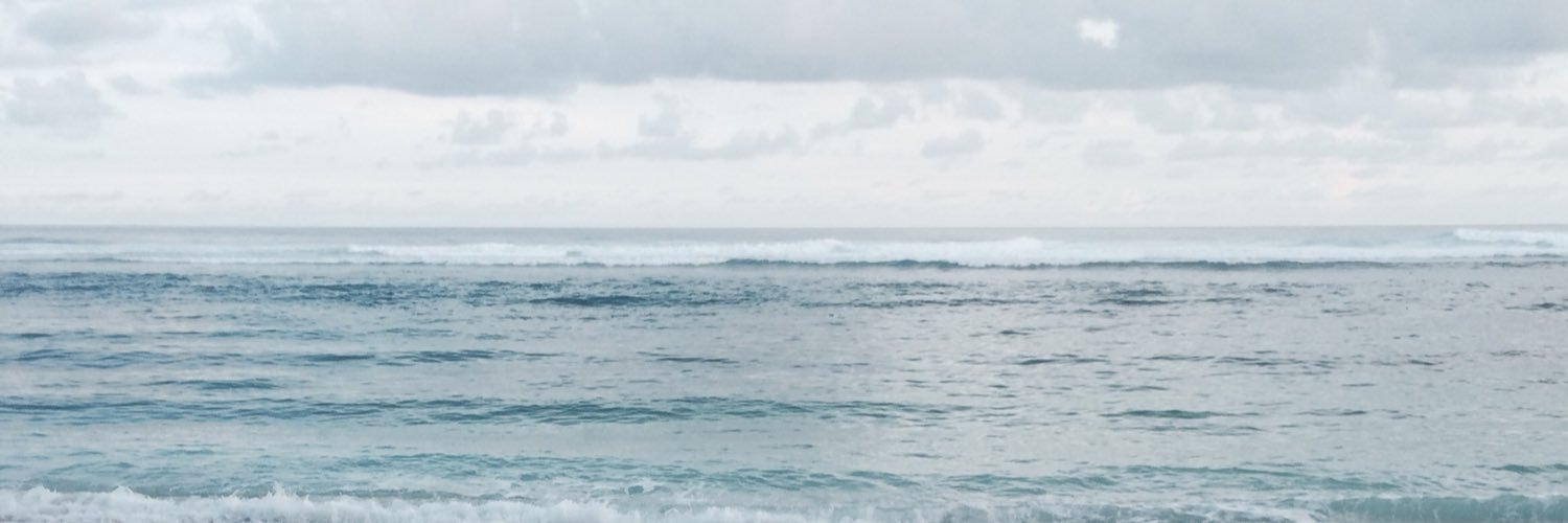 Adinaya_'s profile banner image