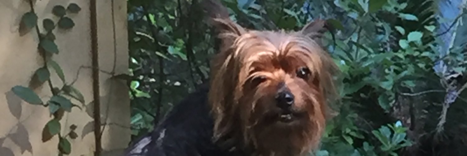 gideoncarpenter's profile banner image
