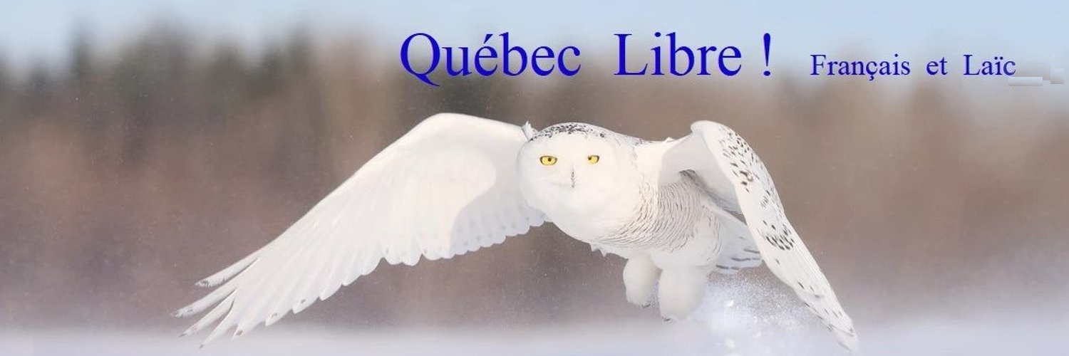 Marc-André Bahl's banner