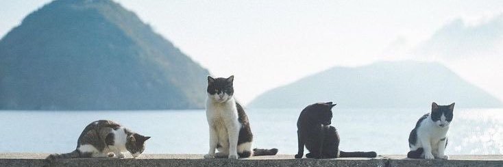 qbebi_'s profile banner image
