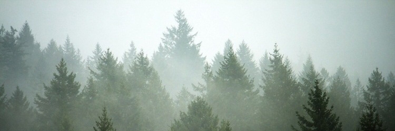 Gossipdbd's profile banner image