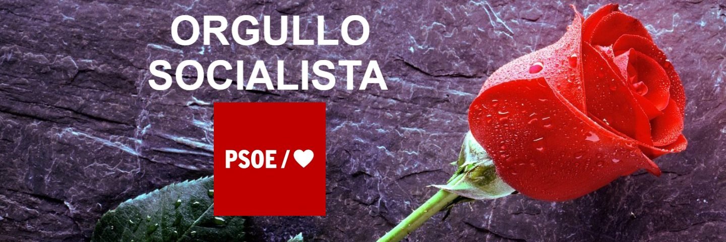 Tino Quintana / ❤🌹 🇪🇸 / banner