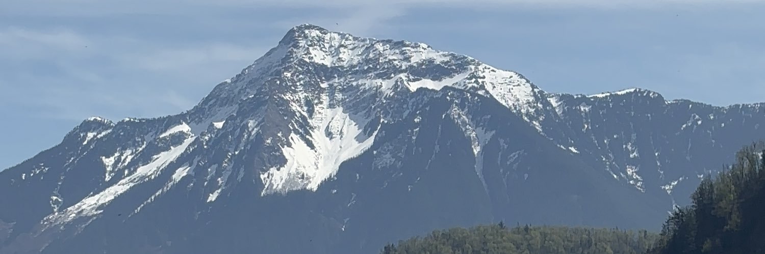 carinamarva's profile banner image
