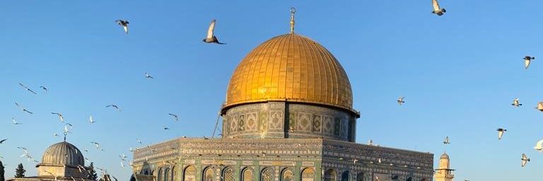 abuzerdalga's profile banner image