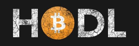 SolDegenCrypto's profile banner image