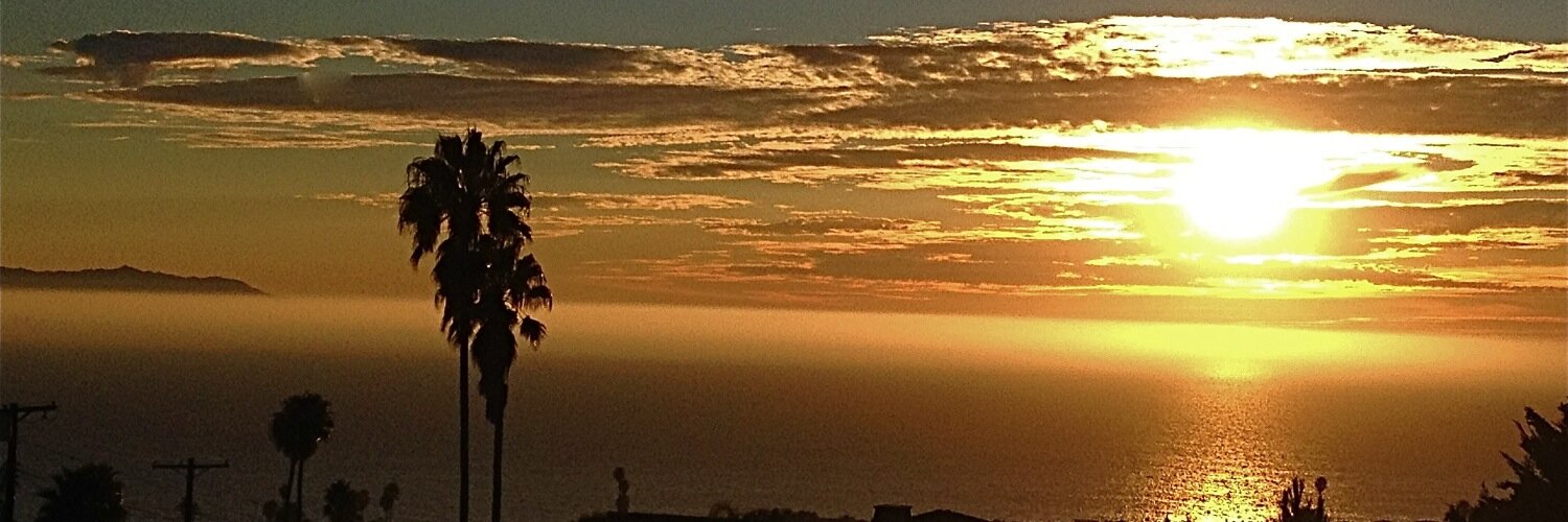 SusanMasero's profile banner image